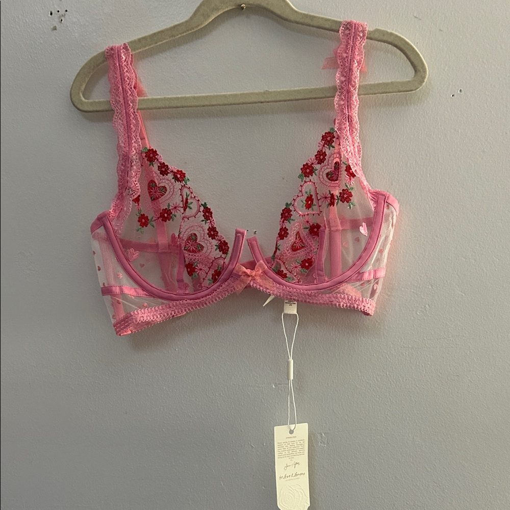 NWT For Love & Lemons Charming Pink Heart Embroidered Bra- size 32C